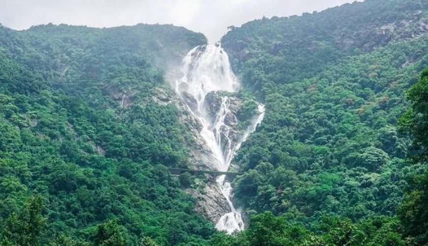 Doodhsagar Waterfall: A Captivating Natural Wonder in Goa